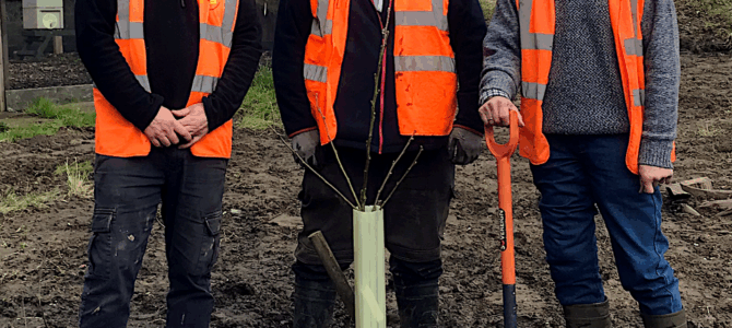Planting Roots: Celebrating 150 Years of the BBKA at Wakefield Apiary Planting Roots: Celebrating 150 Years of the BBKA at Wakefield Apiary